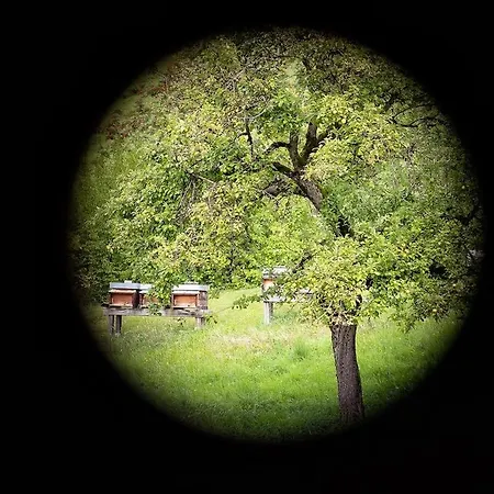 Design-chalet Mit Teilseeblick, Pool, & Restaurant