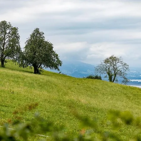 Chalet Design-chalet Mit Teilseeblick, Pool, & Restaurant