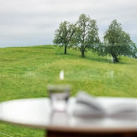 Design-chalet Mit Teilseeblick, Pool, & Restaurant *